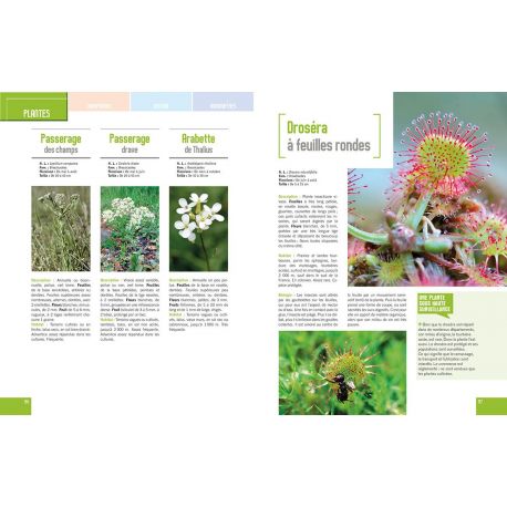 LE GRAND LIVRE DE LA NATURE