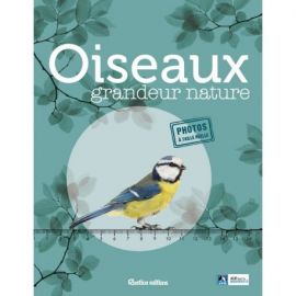 OISEAUX GRANDEUR NATURE. IDENTIFIER FACILEMENT LES OISEAUX DU JARDIN