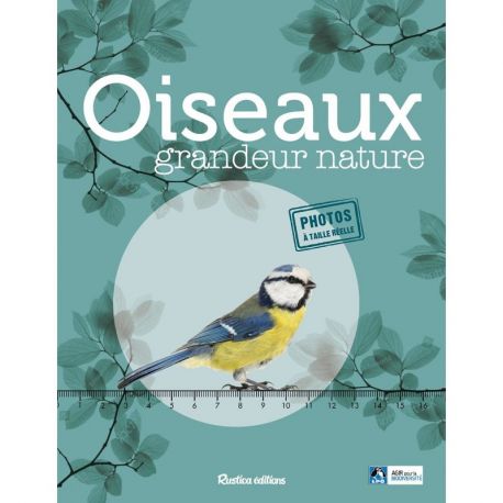 OISEAUX GRANDEUR NATURE. IDENTIFIER FACILEMENT LES OISEAUX DU JARDIN
