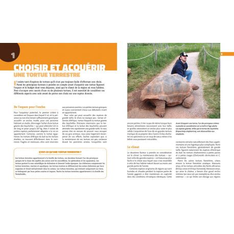 TORTUES TERRESTRES