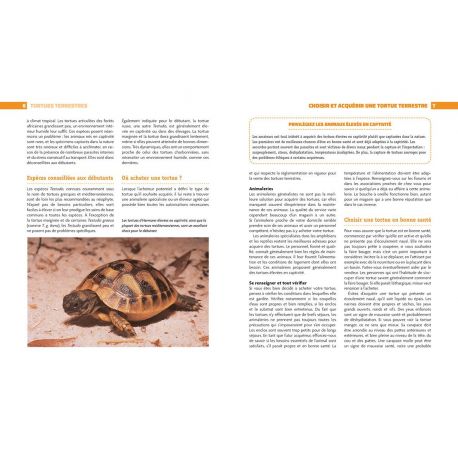 TORTUES TERRESTRES