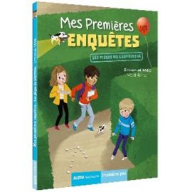 MES PREMIERES ENQUETES - TOME10 LES PIEGES DU LABYRINTHE