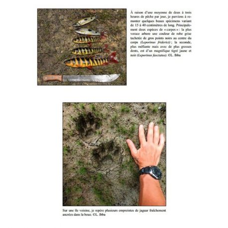 JOURNAL D'EXPEDITIONS EN AMAZONIE