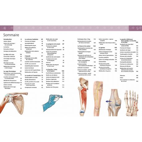 ANATOMIE DES BLESSURES SPORTIVES
