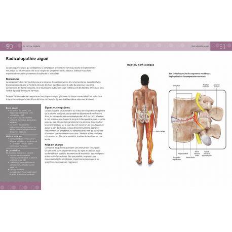 ANATOMIE DES BLESSURES SPORTIVES