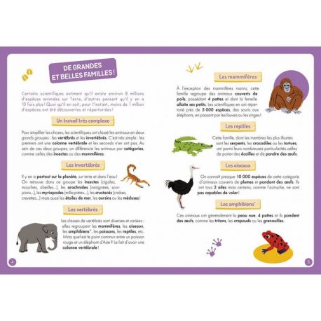 A LA DECOUVERTE DES ANIMAUX DU MONDE