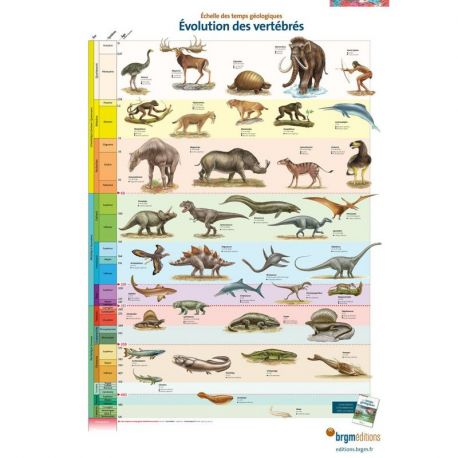 ECHELLE DES TEMPS GEOLOGIQUES 3POSTERS-EVOL.DES VERTEBRES/INVERT.