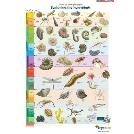 Collection 3 Posters -Echelle des Temps Géologiques