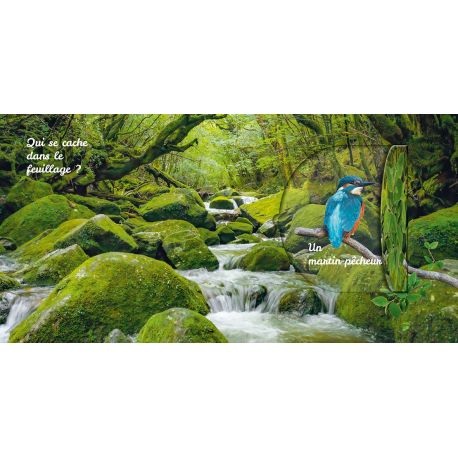 OISEAUX - CACHE CACHE DANS LA NATURE