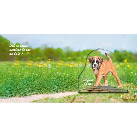 CHIENS ET CHIOTS - CACHE CACHE DANS LA NATURE