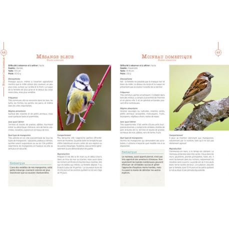 NOURRIR LES OISEAUX