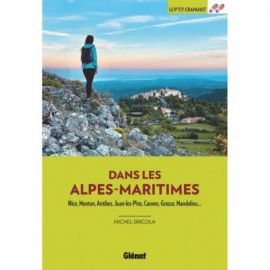 DANS LES ALPES-MARITIMES NICE MENTON CANNES GRASSE