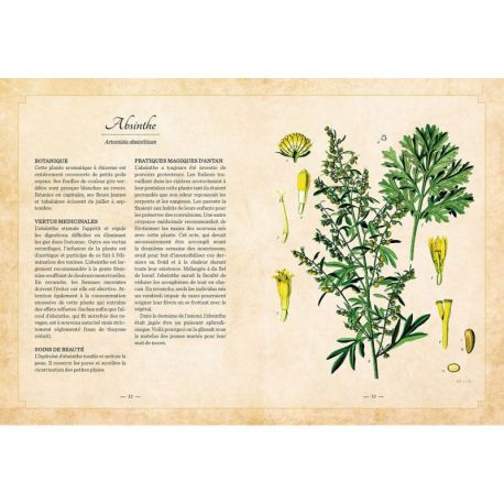 HERBIER DU BIEN-ETRE