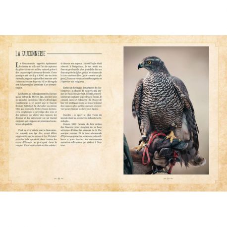 OISEAUX - MYTHES & REALITES