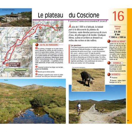 SUD CORSE