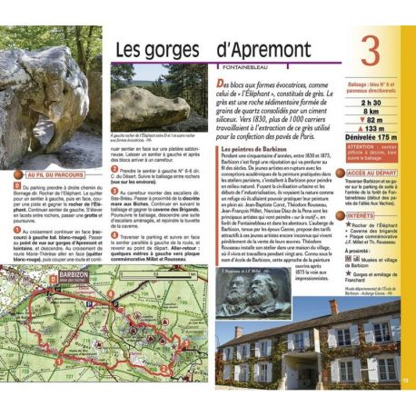 FORET DE FONTAINEBLEAU GATINAIS FRANCAIS