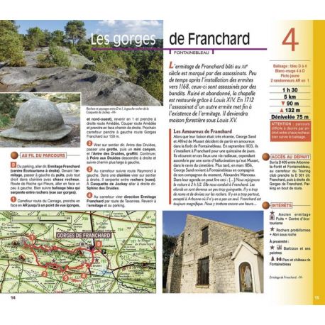 FORET DE FONTAINEBLEAU GATINAIS FRANCAIS