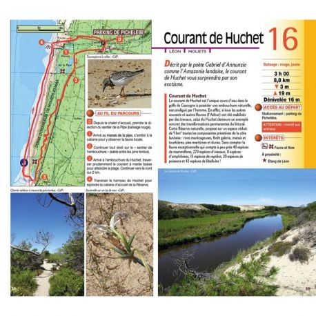 SUD LANDES