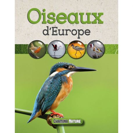 OISEAUX D'EUROPE