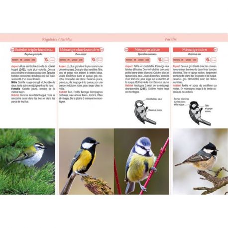 OISEAUX D'EUROPE