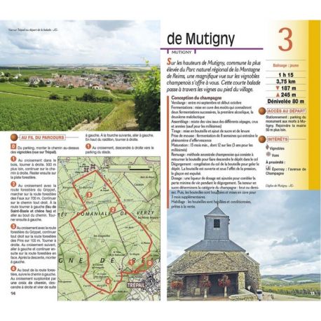 MONTAGNE DE REIMS ET MARNE