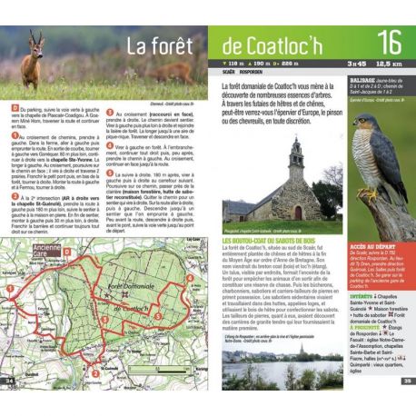 SUD FINISTÈRE CORNOUAILLE