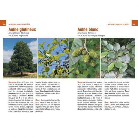 ARBRES & ARBUSTES