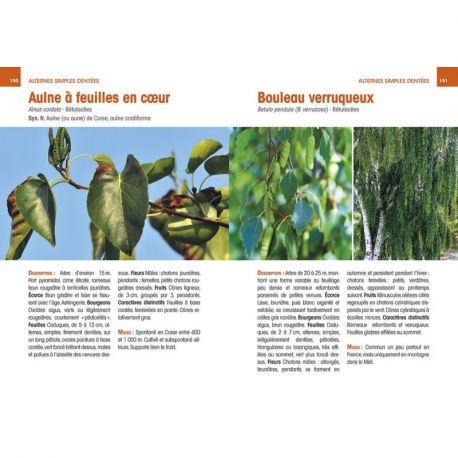 ARBRES & ARBUSTES