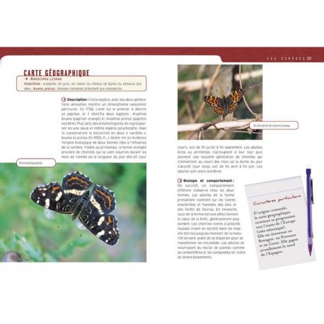 OBSERVER LES INSECTES
