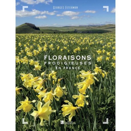FLORAISONS PRODIGIEUSES EN FRANCE