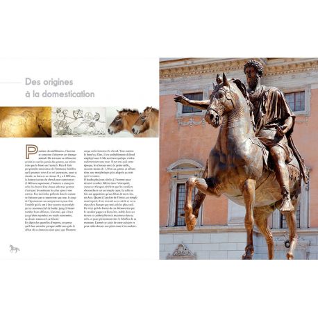 CHEVAUX, UN UNIVERS EXTRAORDINAIRE