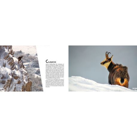 CHAMONIX MONT-BLANC EN LETTRES ET EN IMAGES