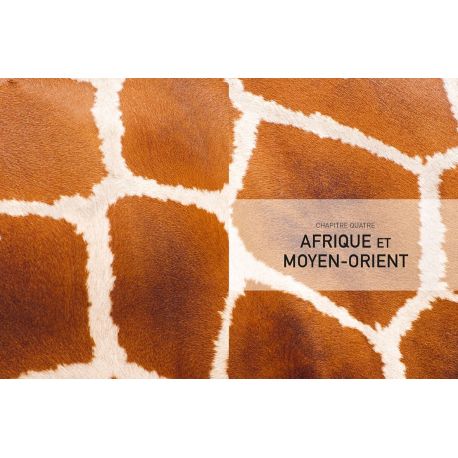 999 + 1 AVENTURES PETITES ET GRANDES NATURE