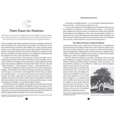 LE MONDE DES GUÉRISSEURS