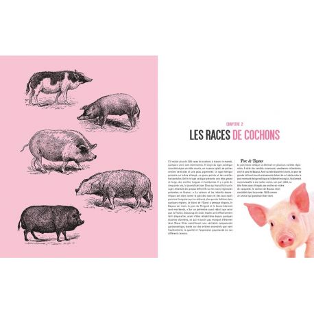 TÊTE DE COCHON