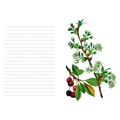 NOTES FLORALES PETIT CARNET DE NOTES