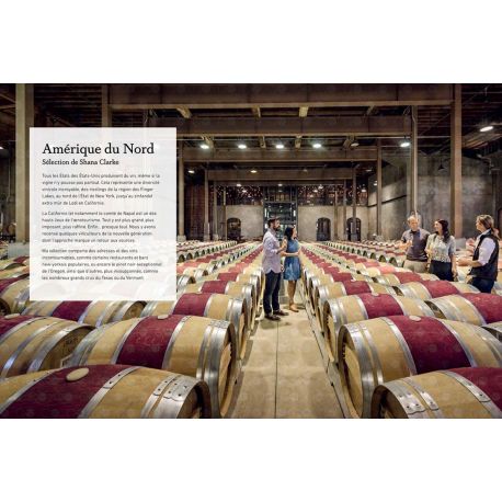 999+1 AVENTURES VINS VIGNOBLES, CAVES, FESTIVALS