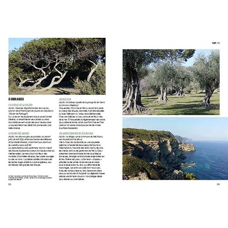 LES 500 PLUS BEAUX TRÉSORS DE LA NATURE EN FRANCE