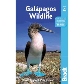 GALAPAGOS WILDLIFE