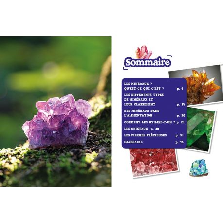 LES MINERAUX