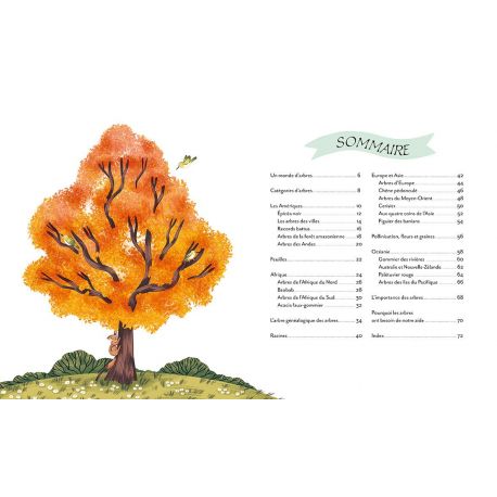 UN TOUR DU MONDE EN 80 ARBRES
