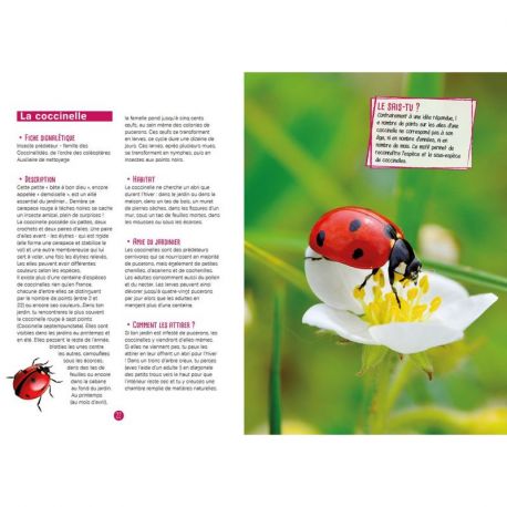 PETITES BETES LES AMIS DU JARDINIER