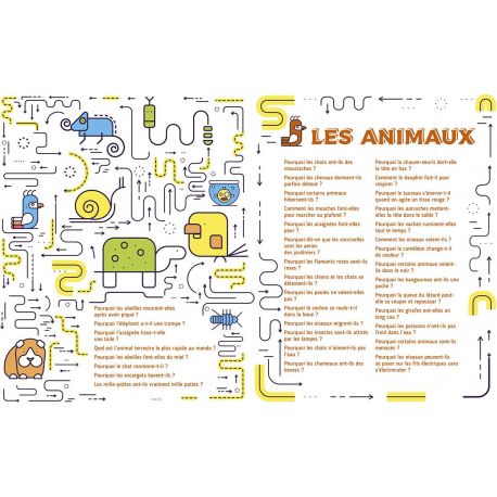 MON LIVRE DES POURQUOI? COMMENT? & AUTRES QUESTIONS