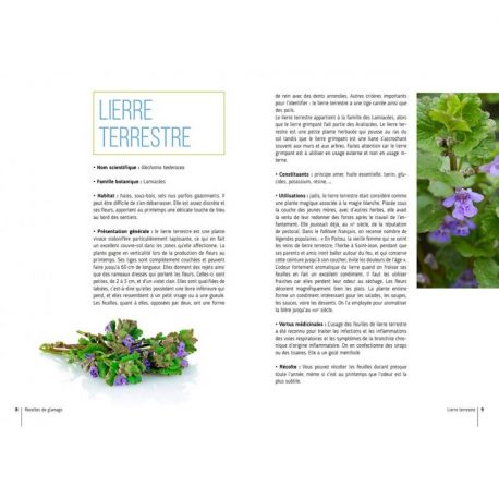 RECETTES DE GLANAGE