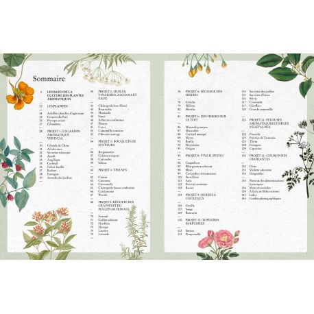 PLANTES AROMATIQUES - MANUEL DU JARDINIER