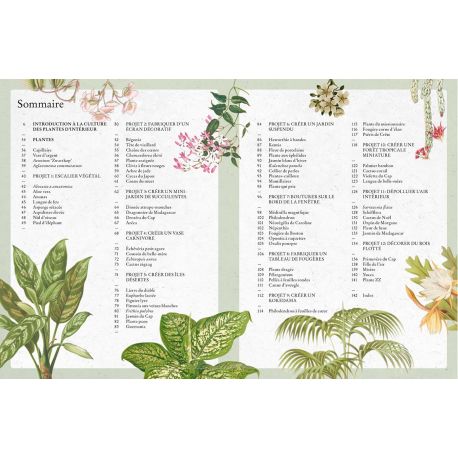 PLANTES D'INTERIEUR - MANUEL DU JARDINIER