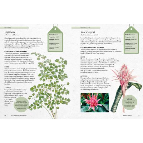 PLANTES D'INTERIEUR - MANUEL DU JARDINIER