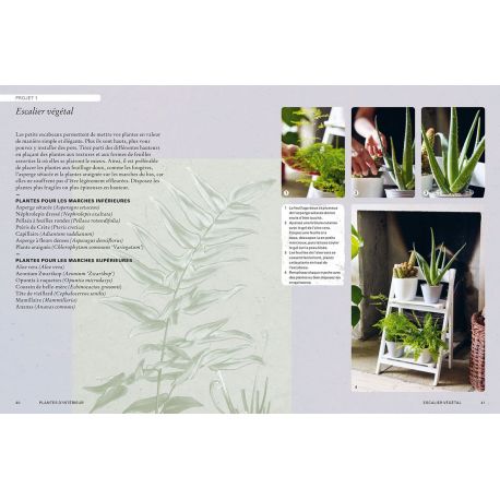 PLANTES D'INTERIEUR - MANUEL DU JARDINIER