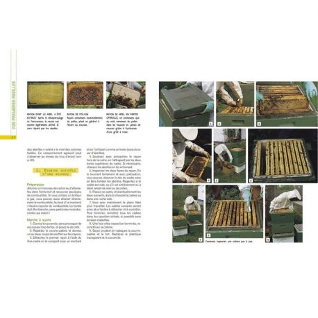 L'ELEVAGE DES ABEILLES DEVENIR (FACILEMENT) APICULTEUR