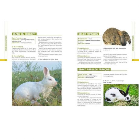 L'ELEVAGE DES LAPINS DEVENIR (FACILEMENT) ELEVEUR